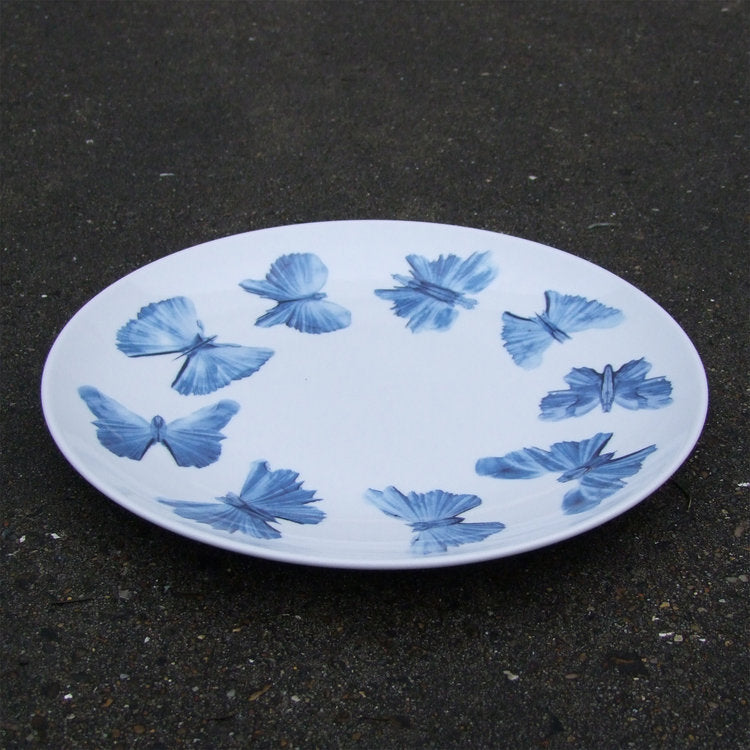 Delfts Blauwe Vlinder